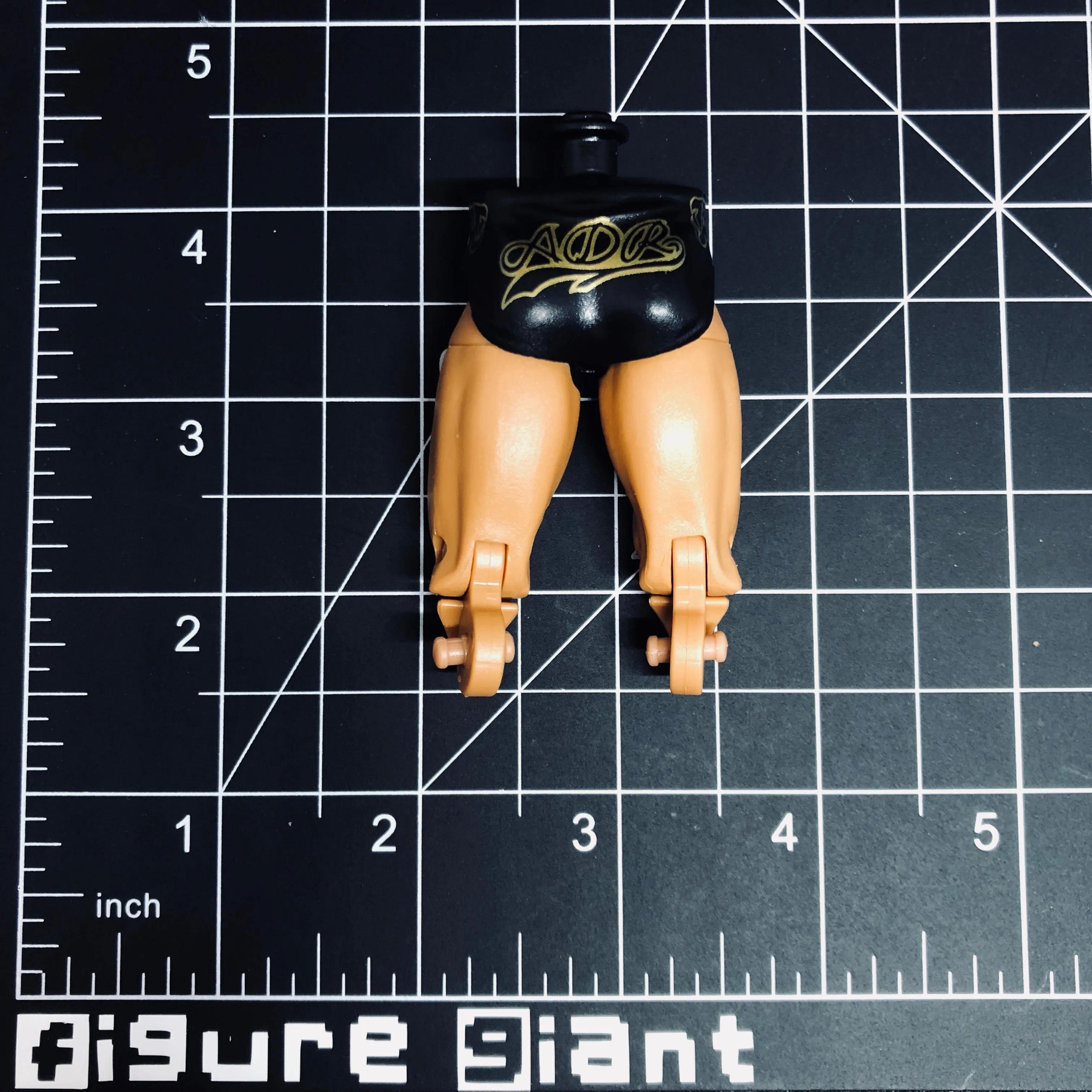 Black Trunks (with gold)
