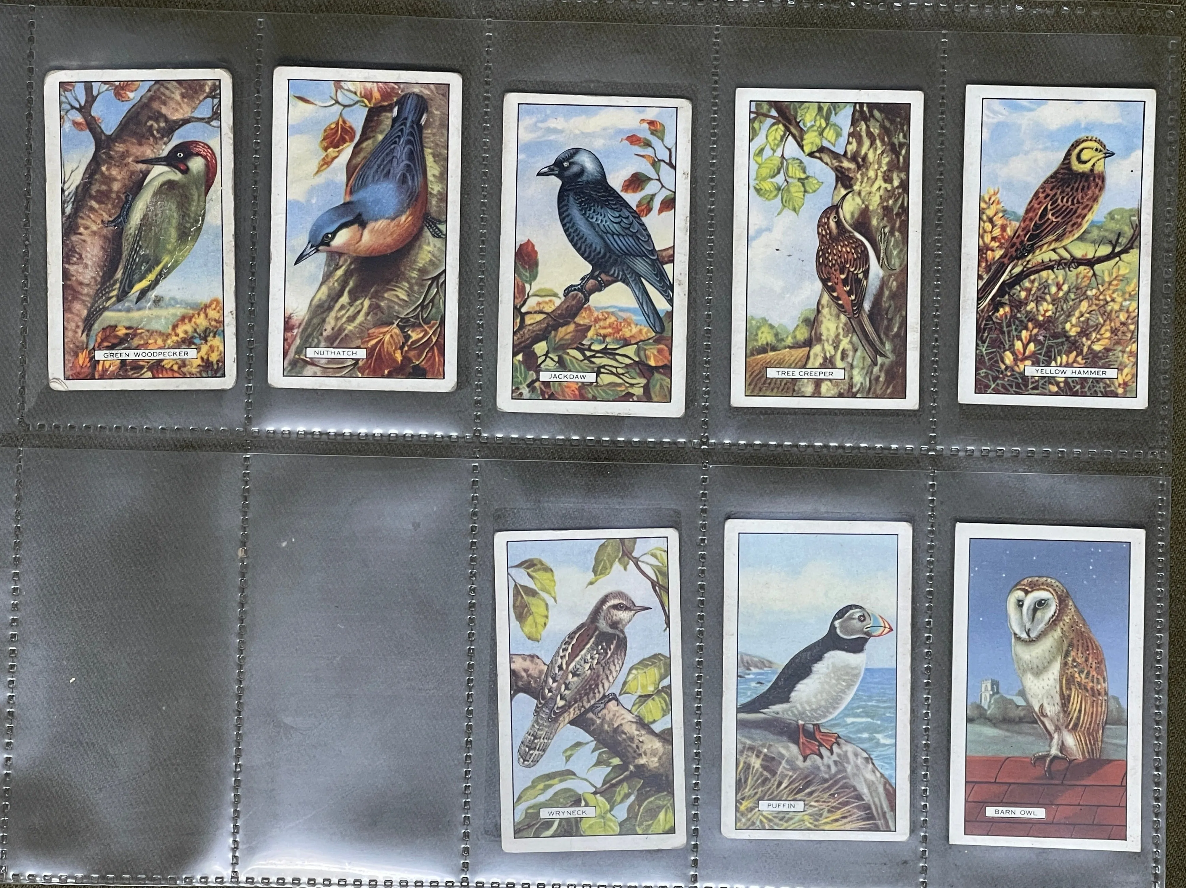Gallaher Ltd British Birds Cigarette Cards