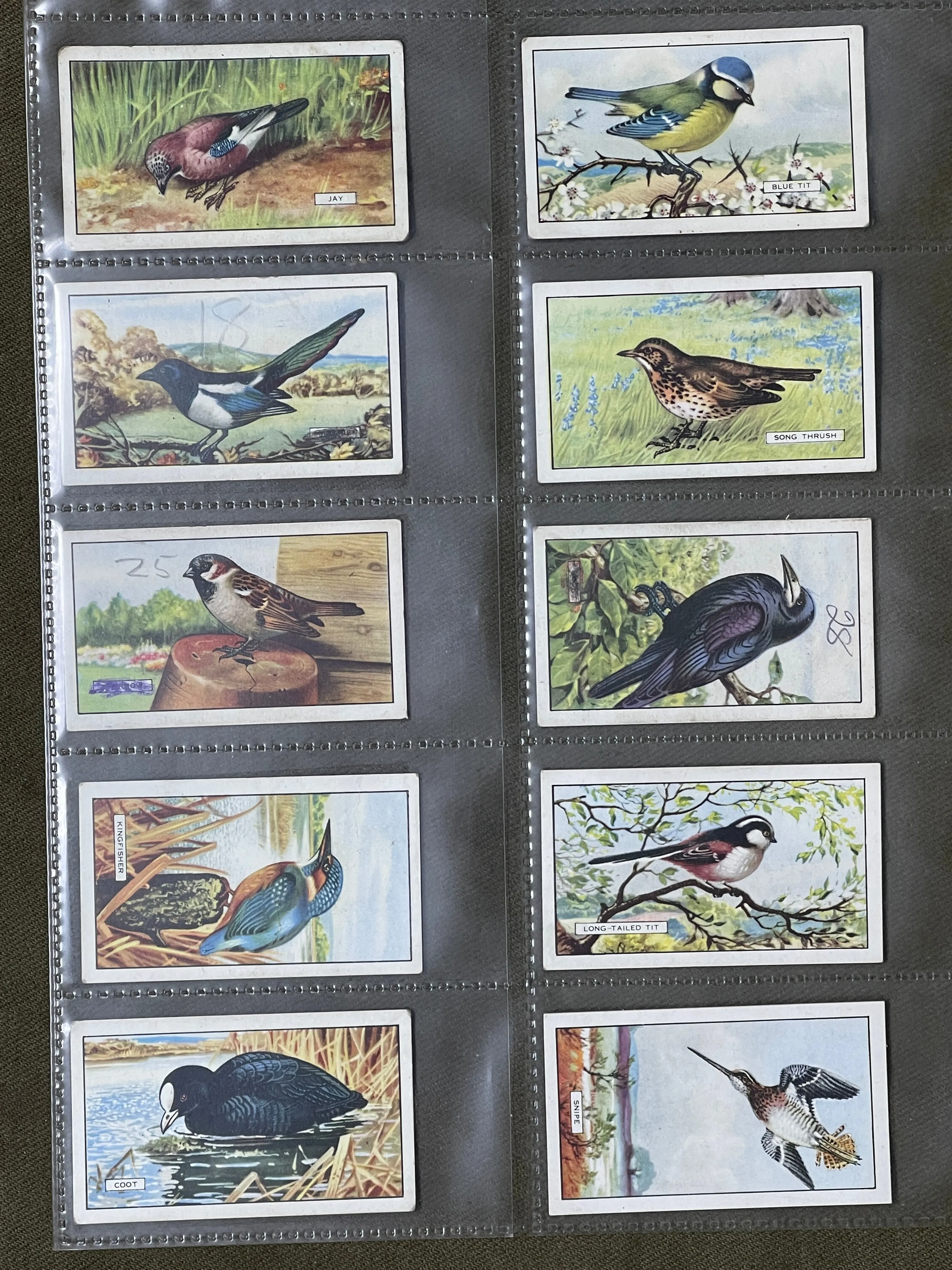 Gallaher Ltd British Birds Cigarette Cards