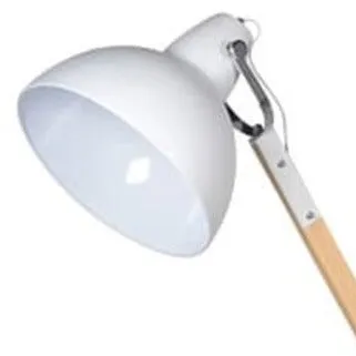 Matt White Adjustable Floor Lamp